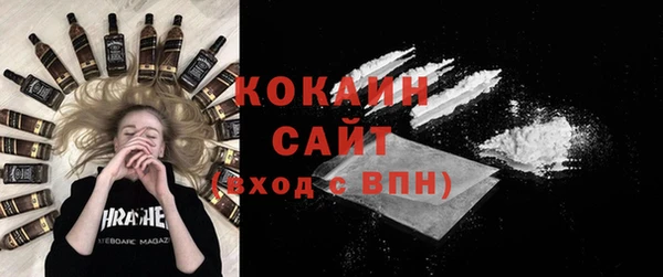 молекула духа Алексеевка