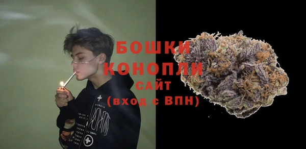 молекула духа Алексеевка