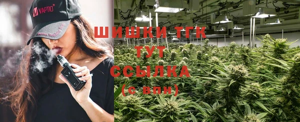 молекула духа Алексеевка