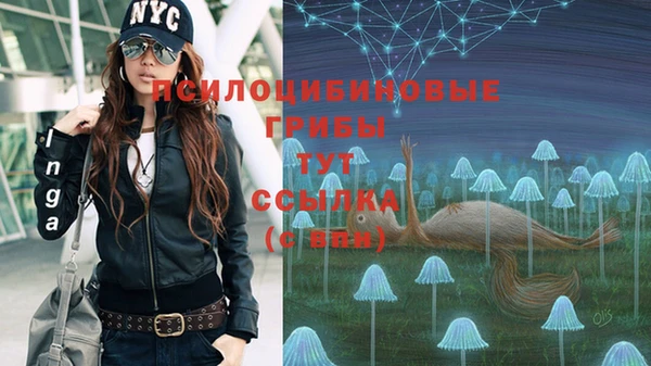 молекула духа Алексеевка