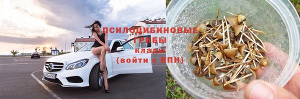 спиды Алзамай