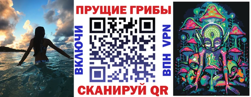Псилоцибиновые грибы Cubensis  Сельцо 